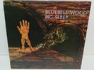 Big Sleep/ Bluebell Wood Orig UK LP RARITY Pysch Prog