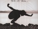 EDDIE VEDDER Into The Wild O.S.T SEALED MINT LP + 7