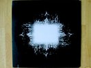 Tool Aenima Double Vinyl Record