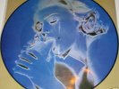 MADONNA - Erotica / Picture Disc 12