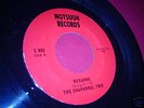 THE CHAPARRAL TRIO - Roxanne - Top Psych Killer