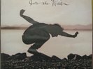 Eddie Vedder - Into The Wild LP (MINT w 7 