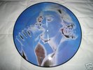 Madonna   Erotica Picture disc