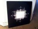 TOOL AENIMA VINYL LP ZOO RARE & OOP First Pressing