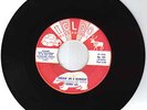 RARE MINT ALASKA ROCKABILLY 45 - Harry Lee on Igloo