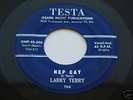 Rockabilly Holy Grail 45 Larry Terry on Testa HEP CAT