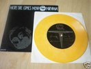 NIRVANA SPLIT MELVINS 
