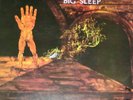 BIG SLEEP - BLUEBELL WOODS/PEGASUS UK 1971 RARE PROG LP