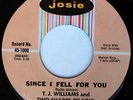 rare Northern Soul 45 TJ WILLIAMS since i fell for you