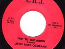 Rare Texas Funk 45-Little Rose Co.-Trip To..-LISTEN