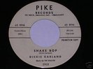 DICKIE GARLAND PIKE 5905 SHAKE BOP ROCKABILLY 45 PROMO