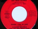 rare Soul 45 DYNAMIC WALTER-B & NEW BREED Listen
