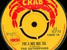 COUNT OSSIE - AFRICA / ETHIOPIANS - FIRE A MUS MUS TAIL