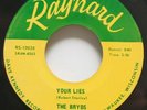 THE BRYDS Midwestern GARAGE Super RARE '60s Raynard