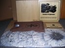 SECURITY OF IGNORANCE V.A.10 x LP-BOX THAGALASZ/NEOFOLK