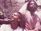 Viceroys & Roots Radics - Brethren & Sistren LP 1983
