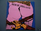 REICH ORGASM LP chaos production french punk/oï/skin