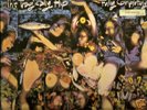 THE TRAGICALLY HIP - FULLY COMPLETELY 1992 LP HOLLAND