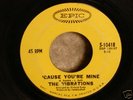 NORTHERN SOUL RARITY THE VIBRATIONS