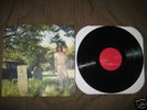 ARIEL PINK the doldrums LP Animal Collective Panda Bear