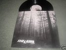 THE CURE A FOREST UK 12