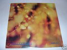 Psych Prog Blues LP STEAMHAMMER Reflection UK CBS 1969