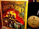 1967 MONO   GOLD 1st GRATEFUL DEAD Psych Garage Hippies