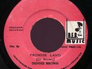 Dennis Brown Promise Land DEB Music 45 orig Listen