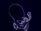 Sigur Ros Agaetis byrjun LP