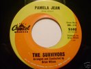 RARE Surf 45 by the Survivors Brian Wilson Beach Boys