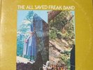 ALL SAVED FREAK BAND - private xian folk psych mp3