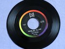 Beatles FROM ME TO YOU Rare BEAUTIFUL VJ 522 ORIG 45