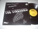 JOE ROSANOVA & THE VINEYARD Rare '68 Dreamy Psych Orig