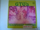GTO's Permanent Damage LP Zappa Produced PROMO  RARE