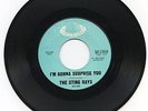 STING RAYS gonna surprise R&B rare NORTHERN SOUL hear
