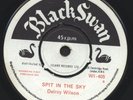 BLACK SWAN 405 DELROY WILSON SPIT IN THE SKY NM HEAR