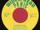 Widespread Panic   Coconut Image   US 45