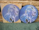 Madonna - Erotica(V RARE PICTURE DISC 12