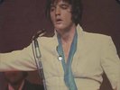 ELVIS  RARE   PIC.  VINYL  LP GIBS NUR EINEN