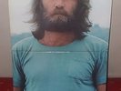 DENNIS WILSON  Pacific Ocean Blue LP 1977 CARIBOU 1st