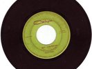 Very Rare - THE SCEPTRES on Rare Orlyn Label - HEAR