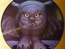 Rush Fly by night Picture disc