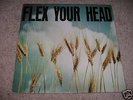 flex your head,old punk kbd,dischord,minor threat,soa