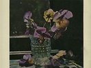 FONTANA/ MOZART / MICHELE AUCLAIR, violin/ COURAUD