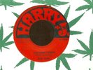 YOU DON'T KNOW + WALK A MILE IN MY SHOES / BOB ANDY