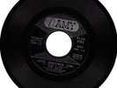 Doo Wop Soul 45-The Rays-Sad Saturday-Amy Records