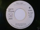 Mudcrutch 45 on Shelter Tom Petty