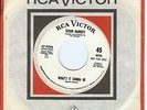 NORTHERN SOUL 45 - SUSAN BARRETT on R.C.A - LISTEN