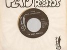 Funk 45RPM - Kickin Mustangs on Plato - RARE GREAT