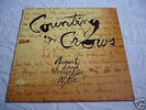 Counting Crows - August and everything after - Vinyl